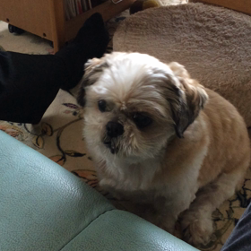 のせて〜の画像