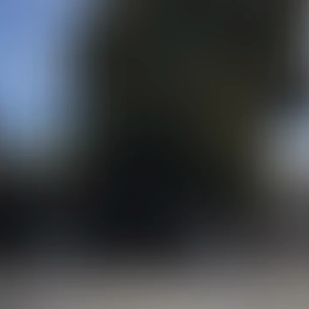 ３月スタート！！の画像