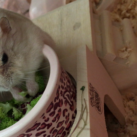 可愛い過ぎる…♡の画像