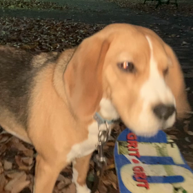 スケボー練習中の画像