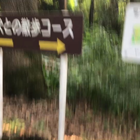 ♪お散歩動画♪砧公園♪の画像
