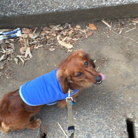 １０５＄の巻の画像