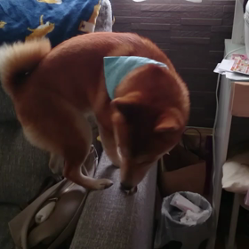 退院しましたの画像