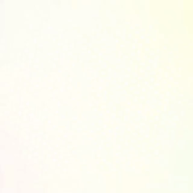 大きくなりました♪( ´▽｀)の画像