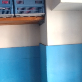 ゴンズジムろくの画像