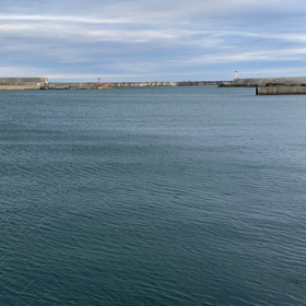 おはようございます。の画像