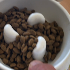 “わらび幹事長”の朝ごはんの画像