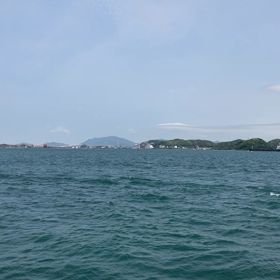 定期受診でしたーの画像