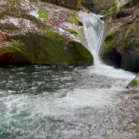 今する事の画像