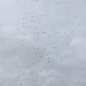 壊れた様だ…の画像