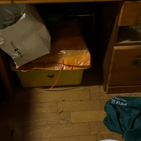 言わないの？それの画像