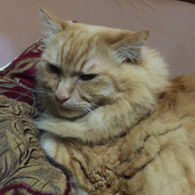 いよいよ押し迫ってきましたね。の画像