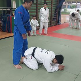 亀からの攻撃の画像