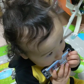 ブルースハープの画像