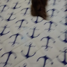 インフルエンザ、、、の画像