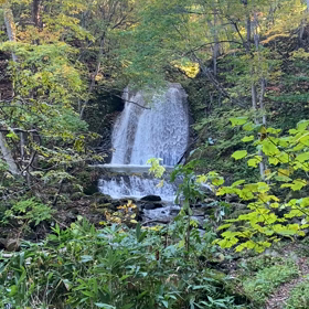 無事3年生の画像