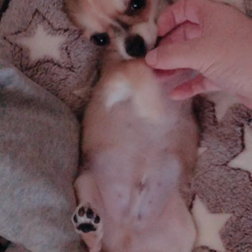 心配というエネルギーを手放す♩¨̮⑅*の画像