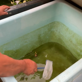 衝撃Σ（ﾟдﾟlll）の画像