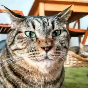 ソラが言うんだよ…の画像