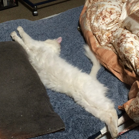 なんでそんな格好で…の画像