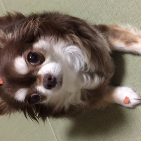 おやつ待ってますの画像