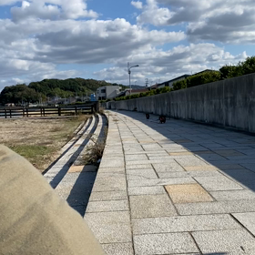 のんびりのびのーびの画像