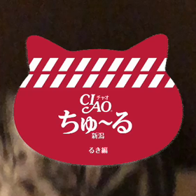 愛しいあの娘を♡〜今日はフリートークの日〜の画像