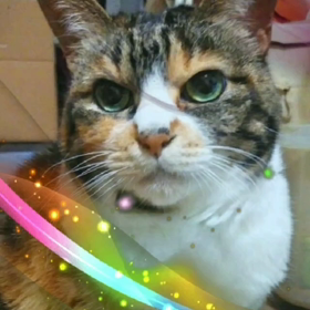 #じゃまかわの画像