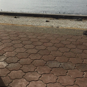 海に異常な数の船の画像