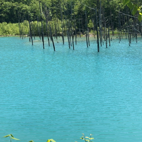 青い池の画像