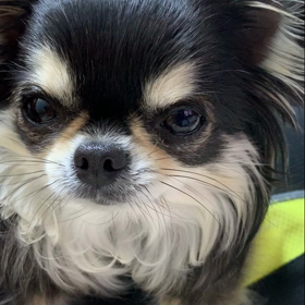 ママ❤︎の画像