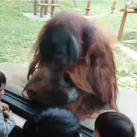 多摩動物公園の画像