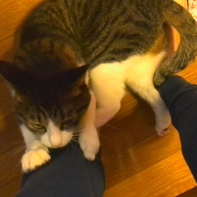 朝の楽しみの画像