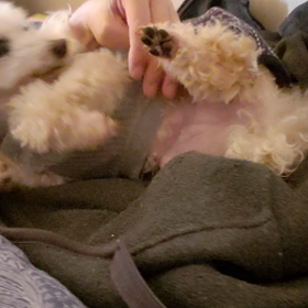 おはよう、サーラの画像