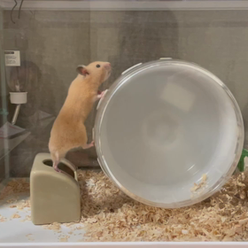 お疲れ様ですの画像