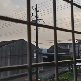 野鳥の名前教えくださいの画像