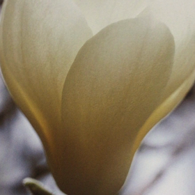 あ、イントロあったの画像