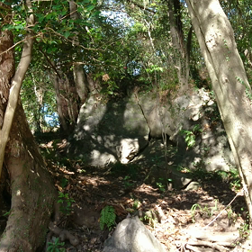 きらきら～の画像