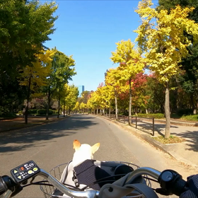 大阪城公園の画像