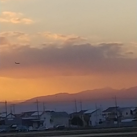 夕陽を撮るつもりがの画像