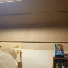 本当の時？の画像