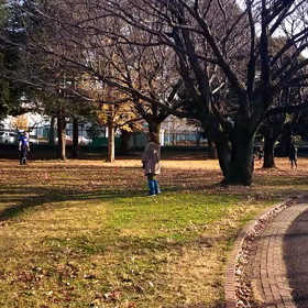 400インターバル⑦の画像