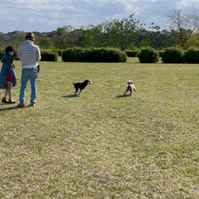 ダウン。。の画像