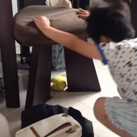 白猫テンちゃんの画像