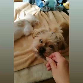 かみかみTimeの画像