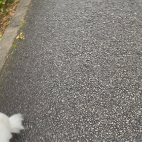 ダッシュする17歳の画像