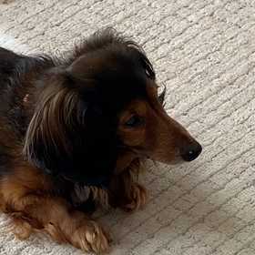 ねむ〜いの画像