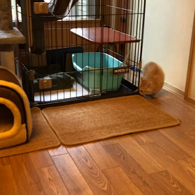 花と竜　７の画像