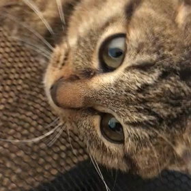 嬉しい便り届きました(≧▽≦)/の画像