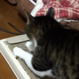 夜 その1の画像